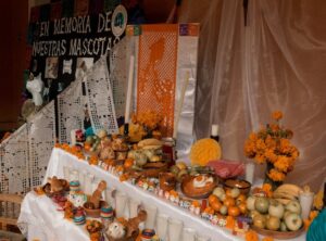 comida accesorios útiles escolares para patitos de papel