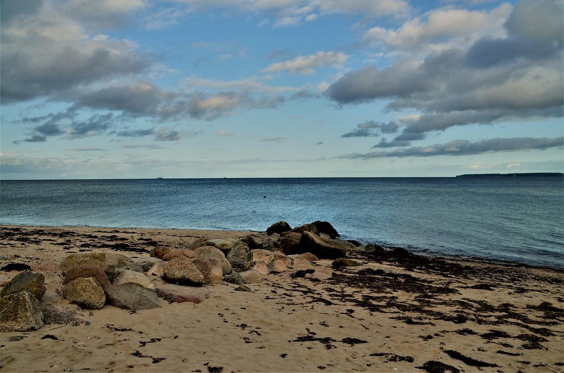 cryptographic protocols