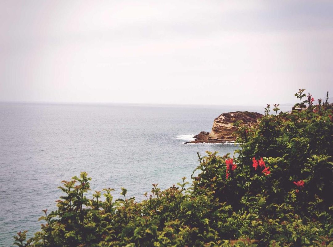 A Winning Strategy: How to Systematically Defeat Cornelia