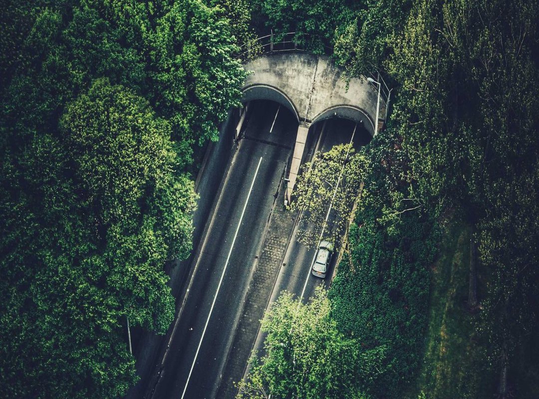 White Baby Car Seats: Stylish Choice or Practical Mistake?