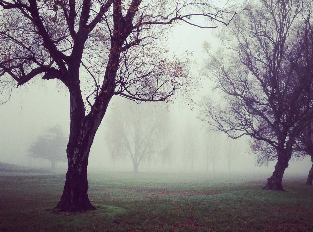 Frequently Asked Questions (FAQs)