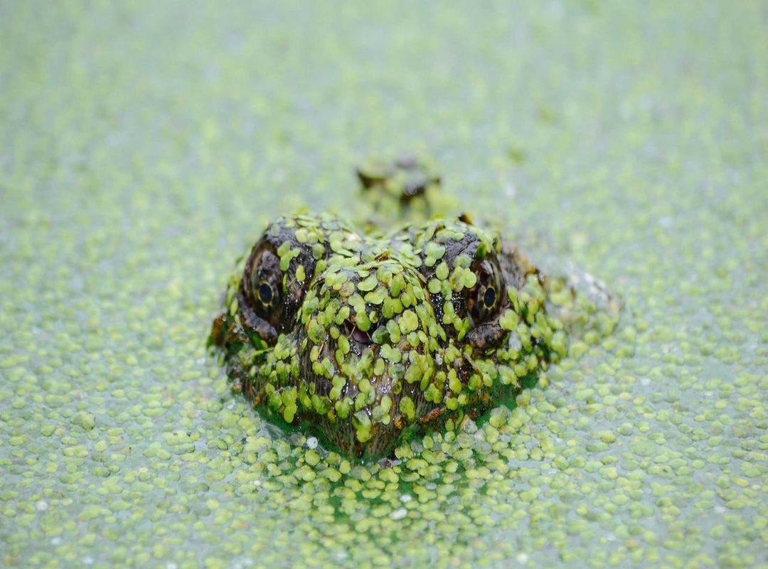 Keeping Your Account Secure: Quick Best Practices