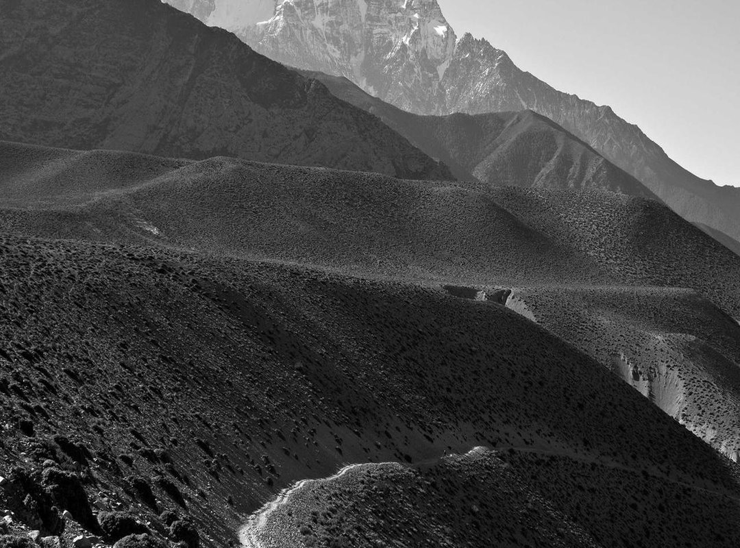 Practical Value: Actionable Troubleshooting Guides