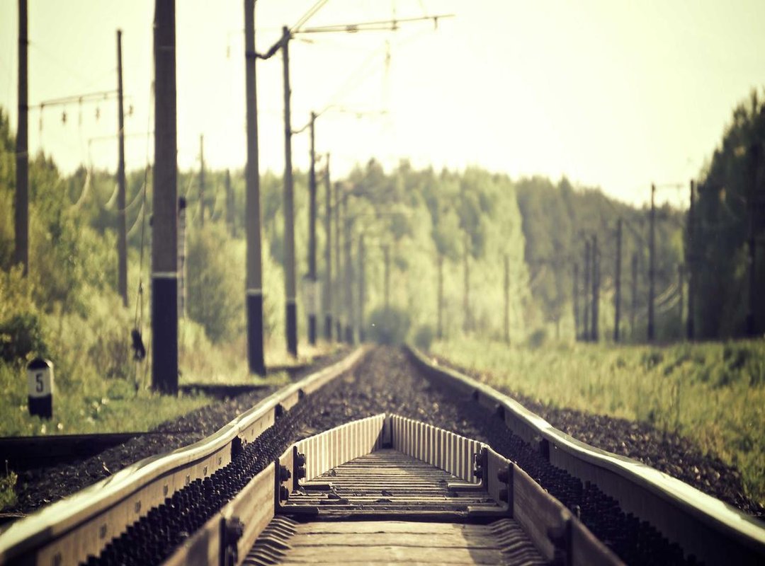 The Real Connection: How Odetari's Music Conquered Roblox