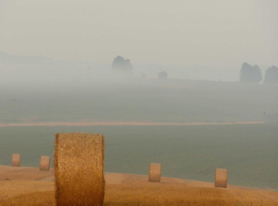 Seeing Double: Celebrities Who Actually Have a Twin