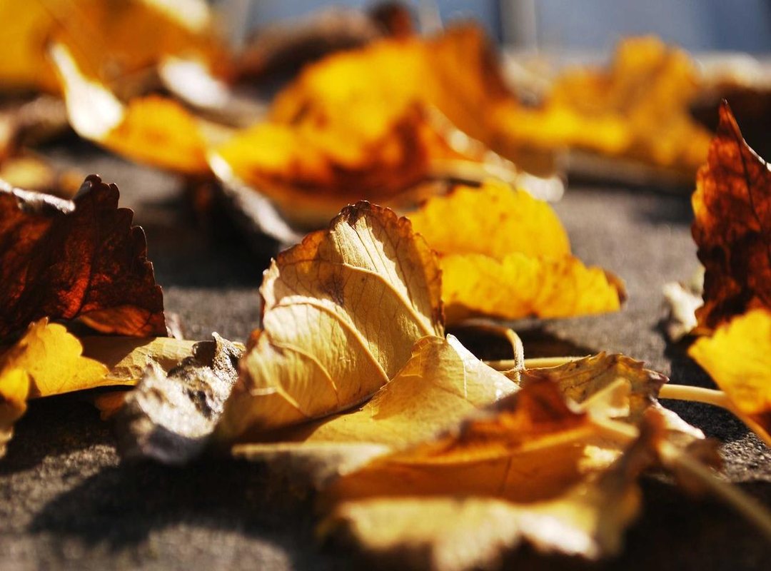 Getting Started: Your First 10 Minutes on the Platform