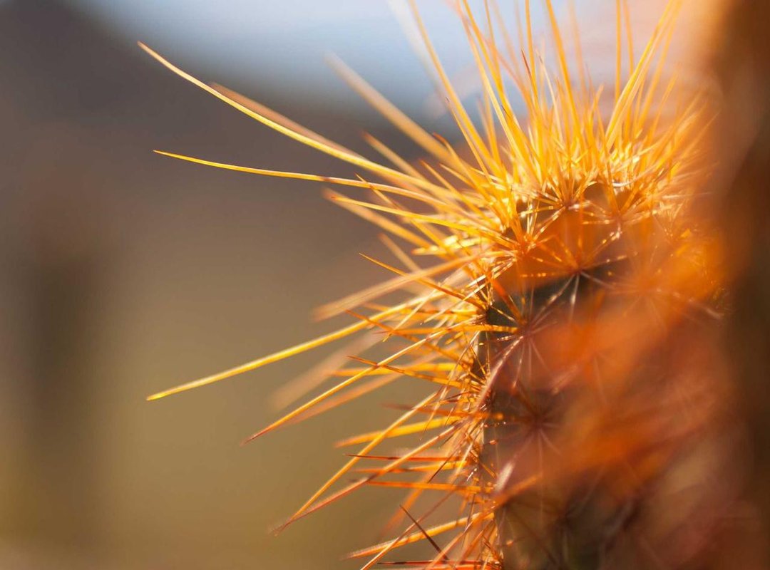 Who is KL Bet 2.0 Built For? (And Who Should Steer Clear)