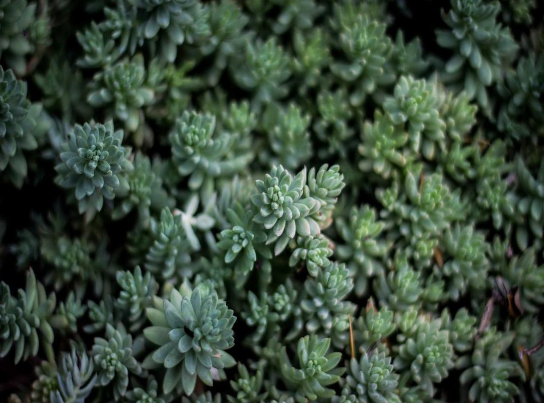 Spotting Fakes: Red Flags to Watch for When Searching for Links