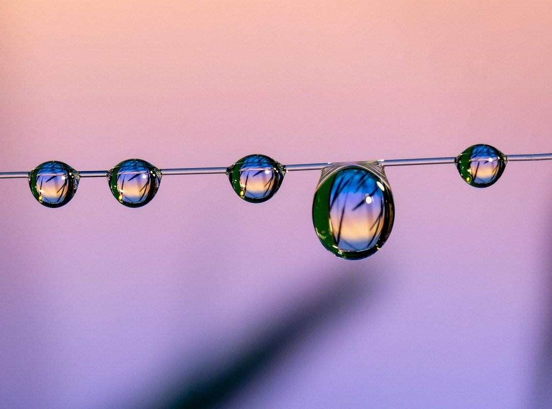 Where to Find Marcos Herber's Current Photos