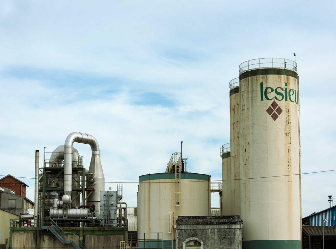 Beyond Food: Using Every Part of the Coconut