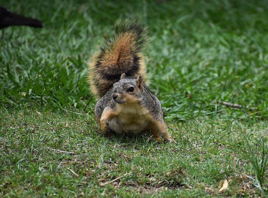 Quick Tips for Choosing the Perfect Picture