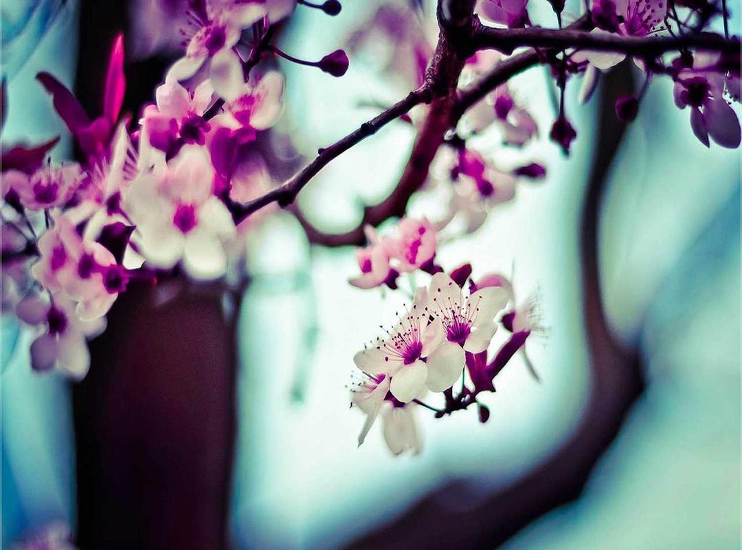 Highlight Reel: Significant Tweets and Public Conversations