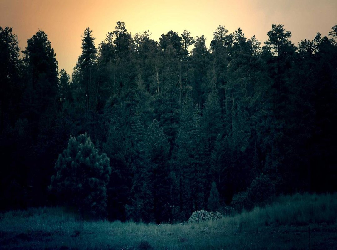 Real-World Applications: Where You'll Find Tmogentai in Action