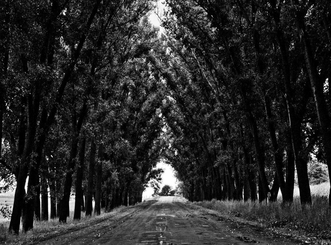 From Screen to Playtime: Your Step-by-Step Printing Guide